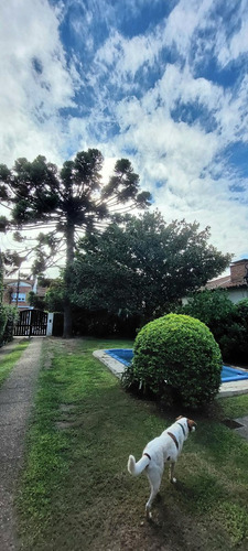 Lote 430 M2 Martinez Rapido Acceso Panamericana