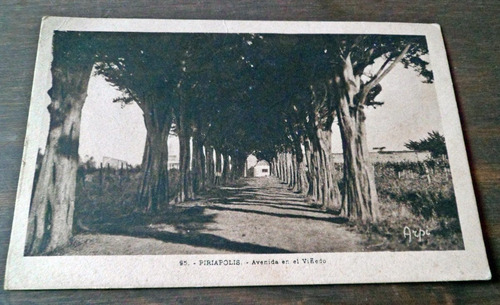 Antigua Postal Piriapolis Avenida En El Viñedo