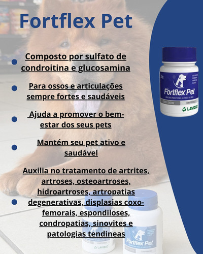 Kit Senior Dog + Fortflex Pet 30g Saúde Articular Cães Idoso