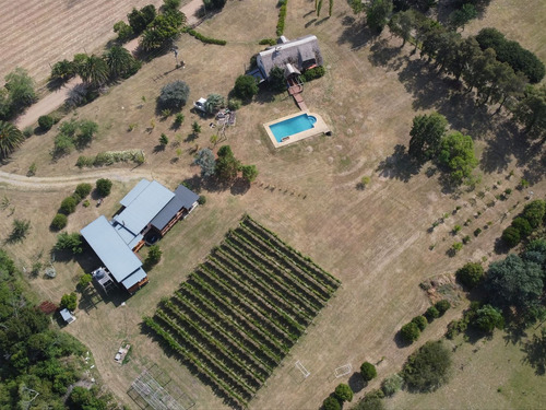 Venta De Chacra Con Casa, Barbacoa Y Piscina