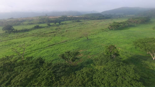 Bejuma Sabaneta Carabobo