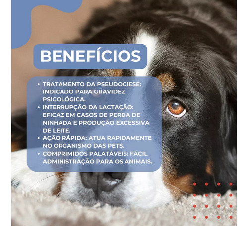 Sec Lac 5 0,5mg Seca Leite Cadelas E Gatas 16 Comprimidos