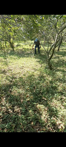 Hermoso Terreno