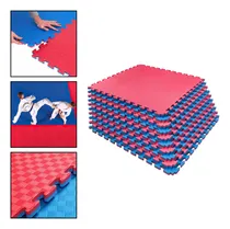 Comprar Pack 4 Plancha Tatami 100cm X 100cm X 4cm Rojo Y Azul