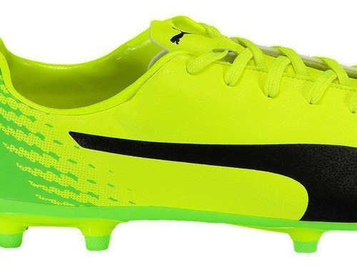 puma evospeed 17.5