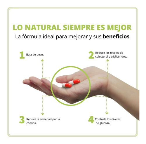 Probity Control De Peso L-carnitina, Alcachofa Zen Natura | Meses sin  intereses