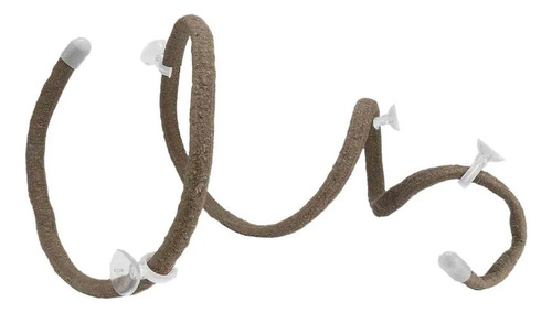 3 Terrario Reptiles Enredaderas Selva Escalada Style C