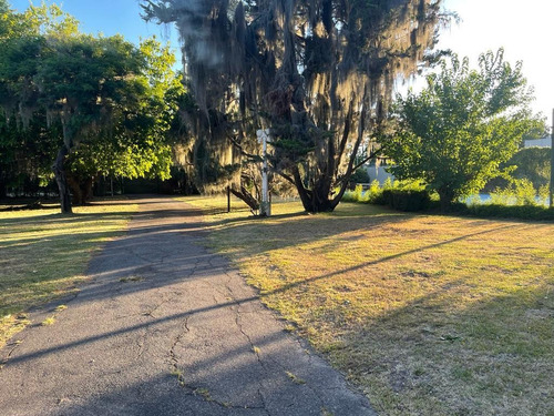 Imagen 14 de 23 de Terreno Ideal Desarrollo Inmobiliario En El Corazón De Funes