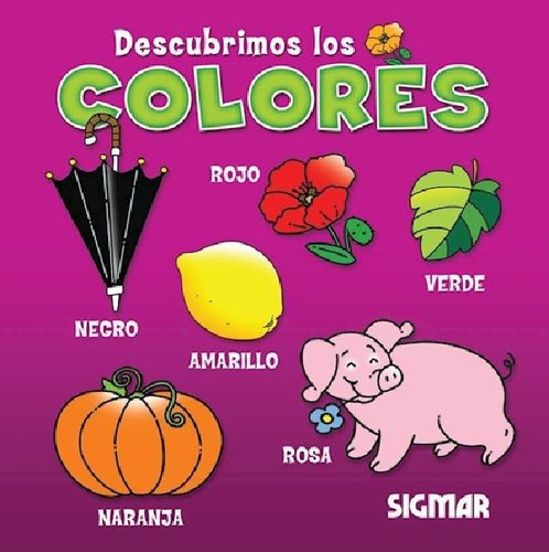 Libro - Descubrimos Los Colores (coleccion Pichones) (carto