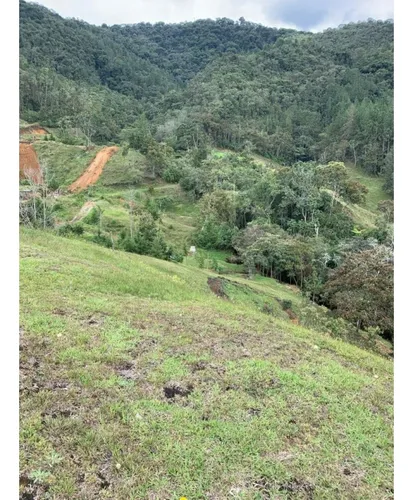 Lote En Vender En La Ceja