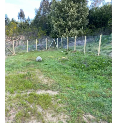 Terreno En Comuna De Tomè, Sector Pingueral, 535 M2