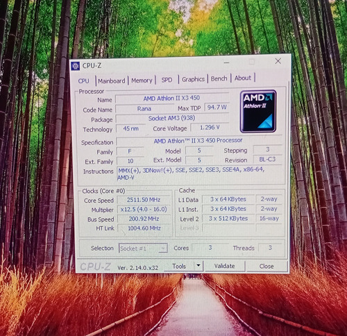 Procesador Amd Athlon Ii X3 450 A 3.2 Ghz Socket Am3 (Usado)