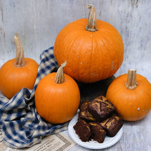Semillas De Auyama, Calabaza Sugar Pie Heirloom (15semillas)