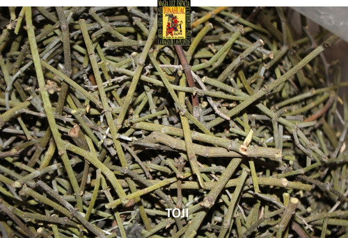Te Toji De Mezquite 250gr Planta Organica Seca