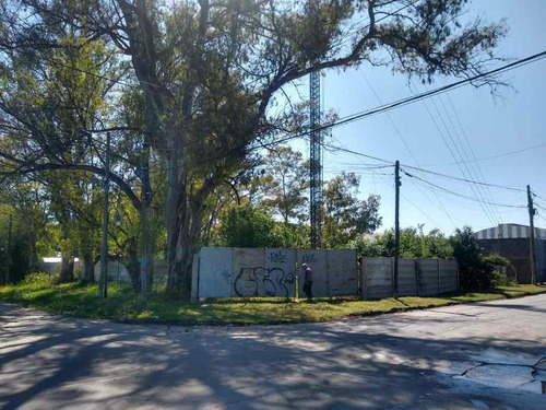 Imagen 2 de 3 de Terreno - Tigre
