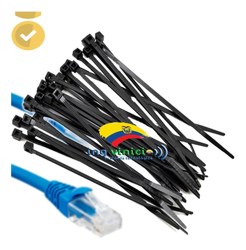 Amarras Plasticas Dexxon 30cm Negras Zunchos 100u Para Cable
