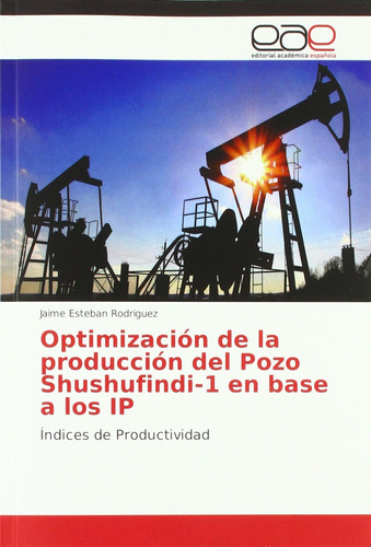 Libro Optimización De La Producción Del Pozo Shushufind Lcm6