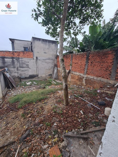 Imagem 9 de 14 de Casa A Venda No Bairro Vila Nova Cachoeirinha Em São Paulo - Vm39-1