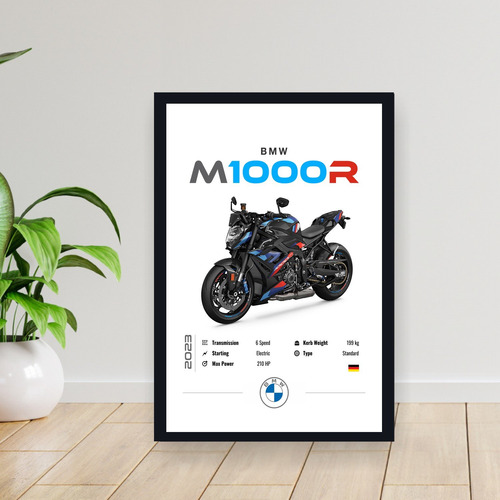 Cuadro 30x40 Moto Bmw M1000r 2023