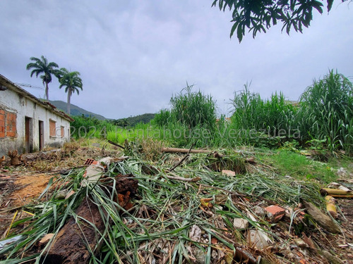 Amplio Terreno En Venta En El Piñal El Limon Zona De Montaña Excelente Precio Negociable Listo Para Firmar Estef 24-25170