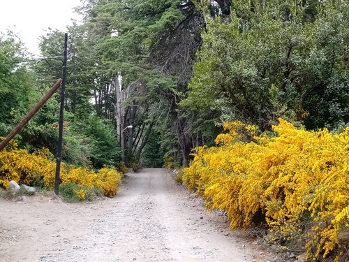 Terreno En Venta En Villa Traful Con Arboles Añejos