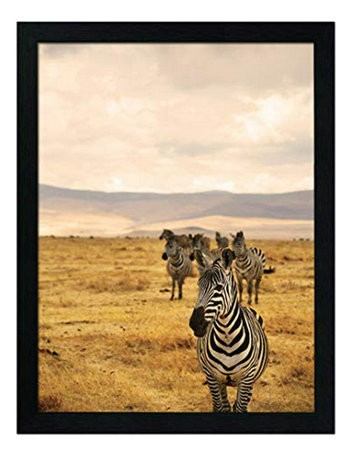 Pósteres - Jd Art Gallery 18x24 Poster Frame In Black Made O