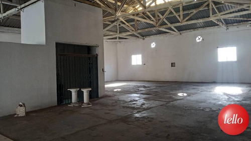 Imagem 30 de 30 de Comercial/industrial - Ref: 246273