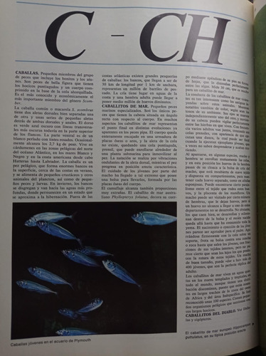 Enciclopedia De Los Animales - Ediciones Nauta (Usado)