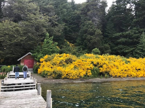 Terrenos O Lotes Venta Villa La Angostura