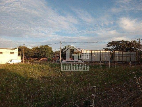 Imagem 1 de 3 de Terreno À Venda, Na Melhor Localização Da Avenida Thomaz Alberto Com 1742 M² Por R$ 1.200.000 - Te0616