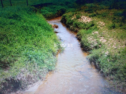 Imagem 20 de 28 de Fazenda Em Rio Preto Minas Gerais - 2044007423 - 67629041