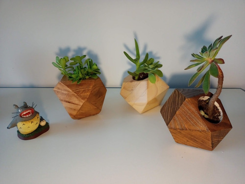 Maceta Tipo Nórdica De Madera Diseño Irregular