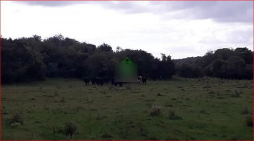 Imagen 10 de 13 de Venta De Campo Zona De Aigua, 121 Hectareas, Con Buen Acceso, Aguadas.
