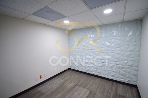 Oficina En Renta En Anzures - 24c/3b/1e - Excelente Ubicación - 870m2