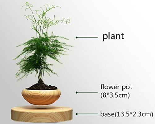 Imagen 3 de 3 de Levitación Magnética Imanesecuador.com Neodimio Bonsai Alb12