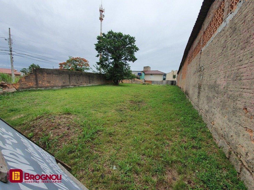 Imagem 3 de 6 de Terreno Comercial/residencial - Coloninha - Ref: 38584 - V-t6-38584