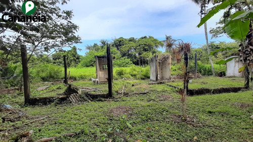 Imagem 15 de 25 de Ótimo Terreno Com 1.150,00 M² No Jardim Candairó - Cananéia - Litoral Sul De Sp - Te00087 - 70424942