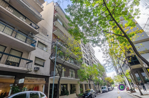 Imagen 1 de 25 de Recoleta Oficina Con 2 Patios Propios En Montevideo Y Posadas
