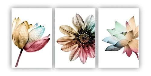 Cuadros Decorativos   Floral   Colorido 