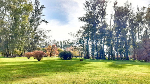 Lote Central En Haras San Pablo