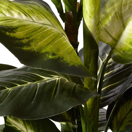 Dieffenbachia Dorada Con Maceta Decorativa Color Verde