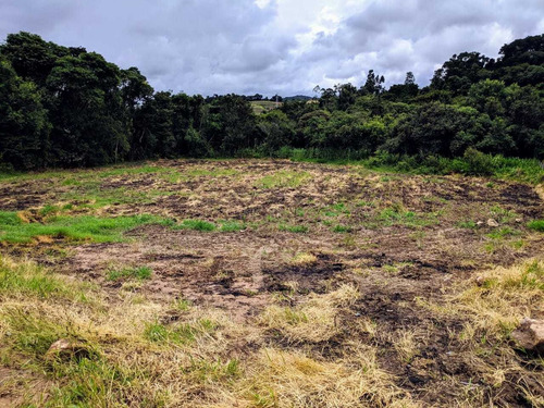 Imagem 2 de 14 de Bv5 Lote 600 M2 Proximo A Represa, Com Documentação Toda Ok