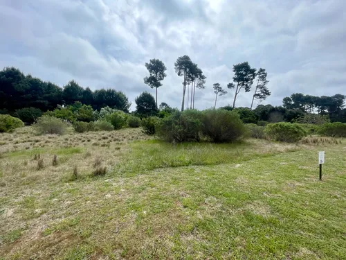 Venta Lote En Acres De Solanas Punta Ballena - Maldonado