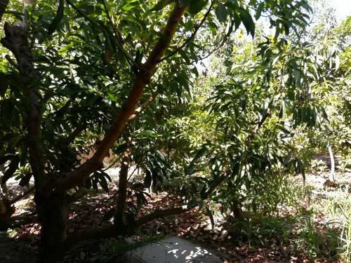 Vendo Parcela Valle Del Elqui/casa Y Cabaña (84522)