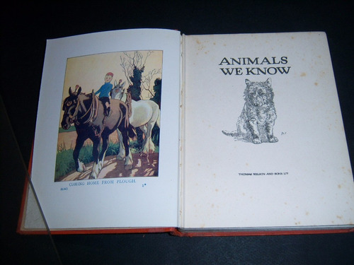 Animals We Know. The Bumper Colour Books . Thomas Nelson