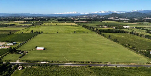 Venta De Campo Agrícola En Curicó Id. 88.393-cam