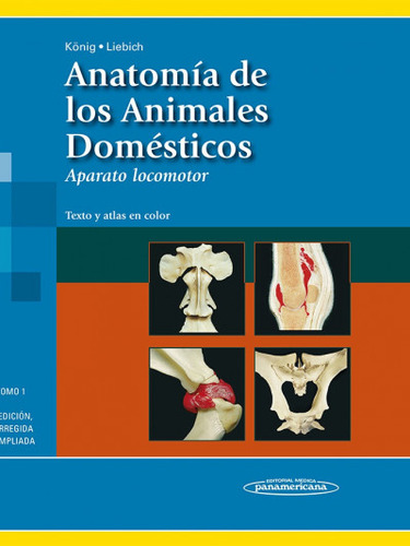 Anatomía De Los Animales Domésticos König Liebich Tomo 1