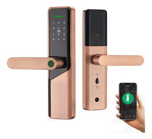 Cerradura Smart Inteligente Chapa Biometrica Wifi Bronce X12