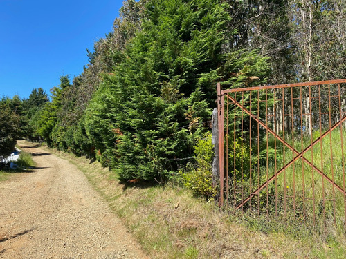Parcela 5000m2, Cutipay Alto Lado Cementerio Niebla Valdivia