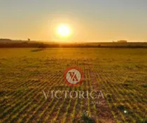 Comprar Imperdible Oportunidad En Soriano, Campo Ganadero-agrícola. Casa Principal Construida En 2014,